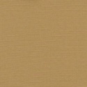 WR-607 Beige.jpg